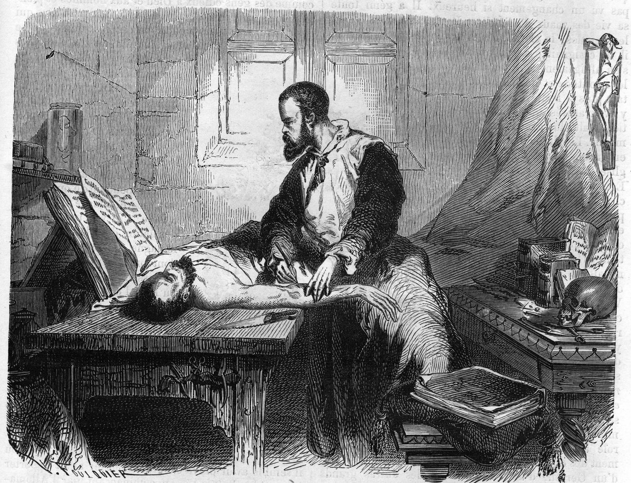 Porträtt av André Vésale (1514-1564), holländsk anatom (på latin: Andrea Vesalius, holländska: Andries Van Wesel). Gravyr från 1866. av Unknown artist