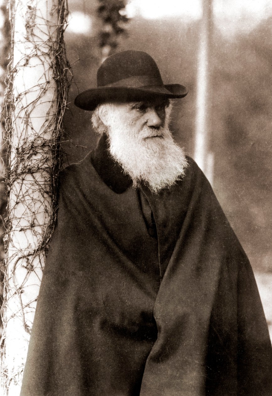 Porträtt av Charles Darwin (1809-1882) av Unknown artist