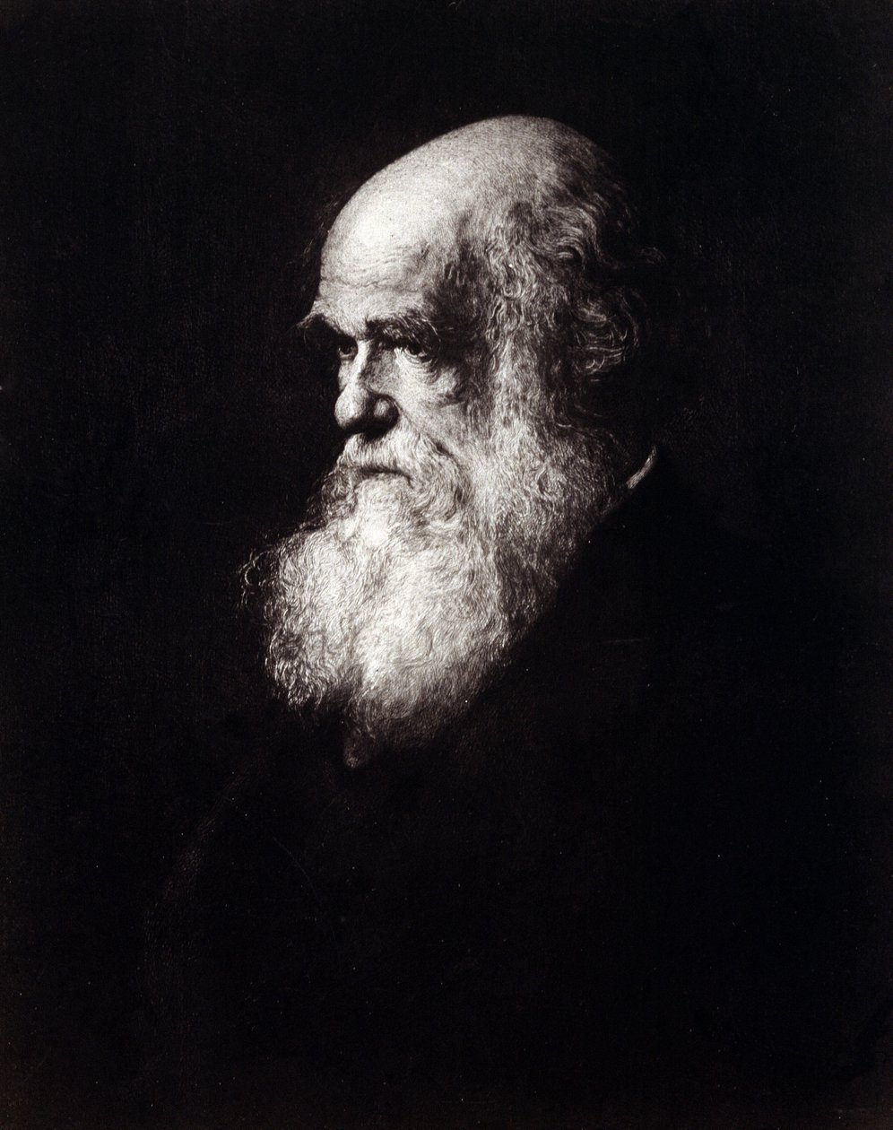 Porträtt av Charles Robert Darwin (1809 - 1882) av Unknown artist