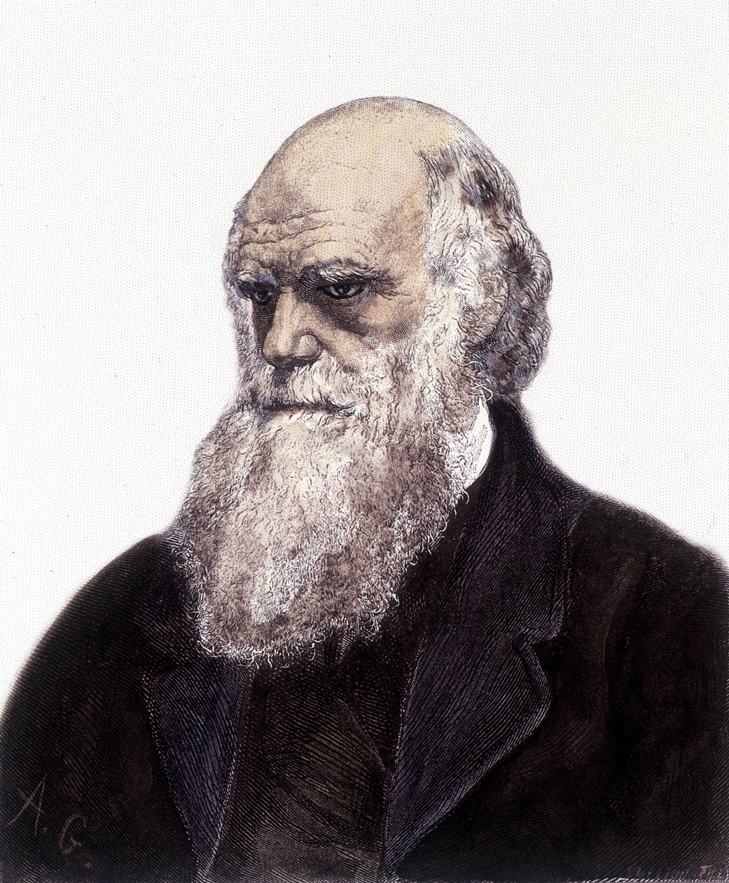 Porträtt av Charles Robert Darwin, brittisk naturforskare (1809-1882) av Unknown artist