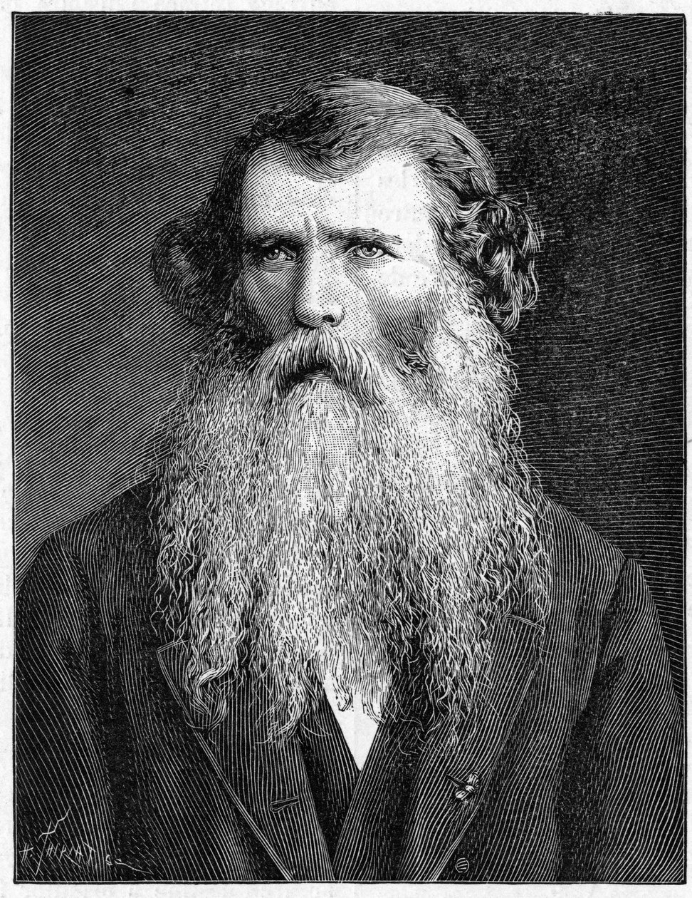 Porträtt av Charles Victor Naudin, fransk botaniker. (1815-1899). Gravyr av 1898. i "" La Nature. Granskning av vetenskaper och deras tillämpningar för konst och industri.”” av Unknown artist