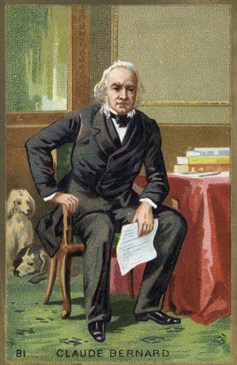 Porträtt av Claude Bernard (1813-1878), fransk fysiolog. av Unknown artist