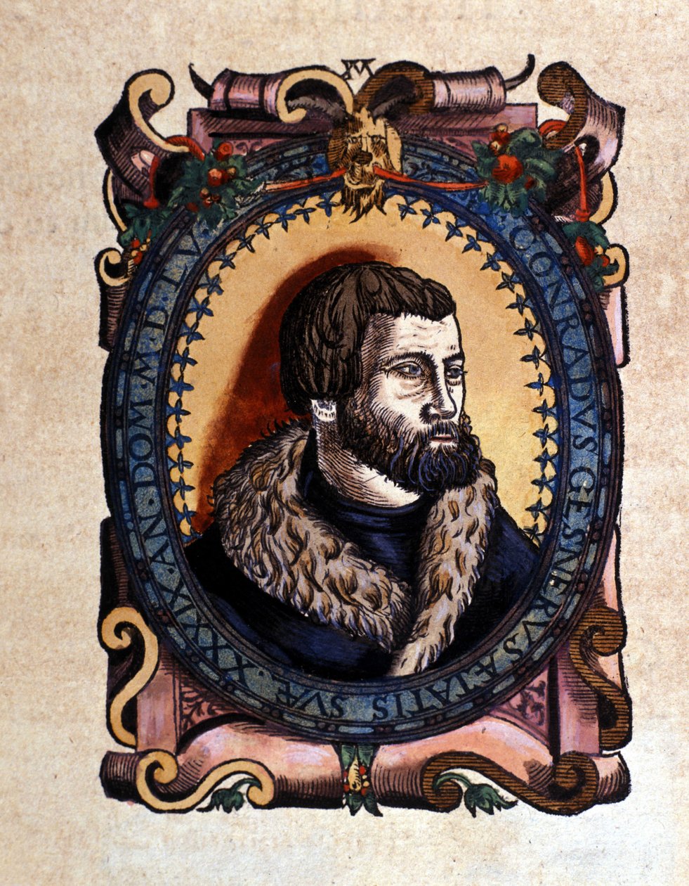 Porträtt av Conrad Gesner (1516 - 1565) Zürich-läkare efter Historia Animalium av Conrad Gesner, Tiguri 1560. Biblioteca Nazionale Braidense. Milano av Unknown artist