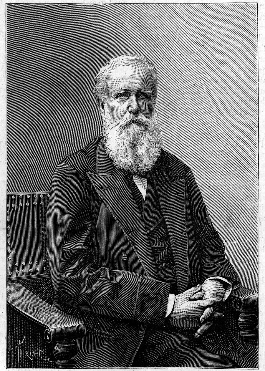 Porträtt av Dom Pedro II av Alcantara (Peter II) (1825-1891), kejsare av Brasilien. (Från ett fotografi av Nadar). Gravyr i "" Nature: granskning av vetenskaperna och deras tillämpningar på konst och industri "" av 12 december 1891. av Unknown artist