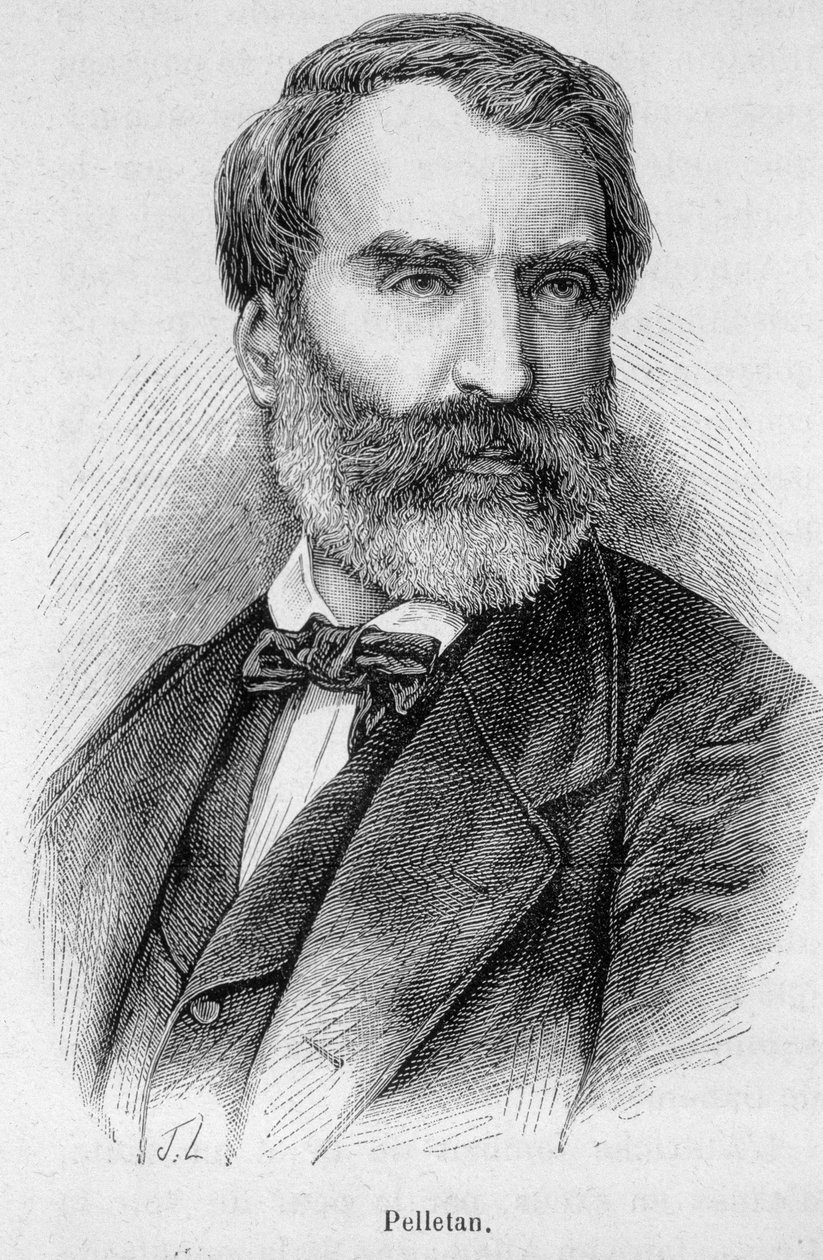 Porträtt av Eugene Pelletan (1813-1884), fransk journalist, författare och politiker. av Unknown artist