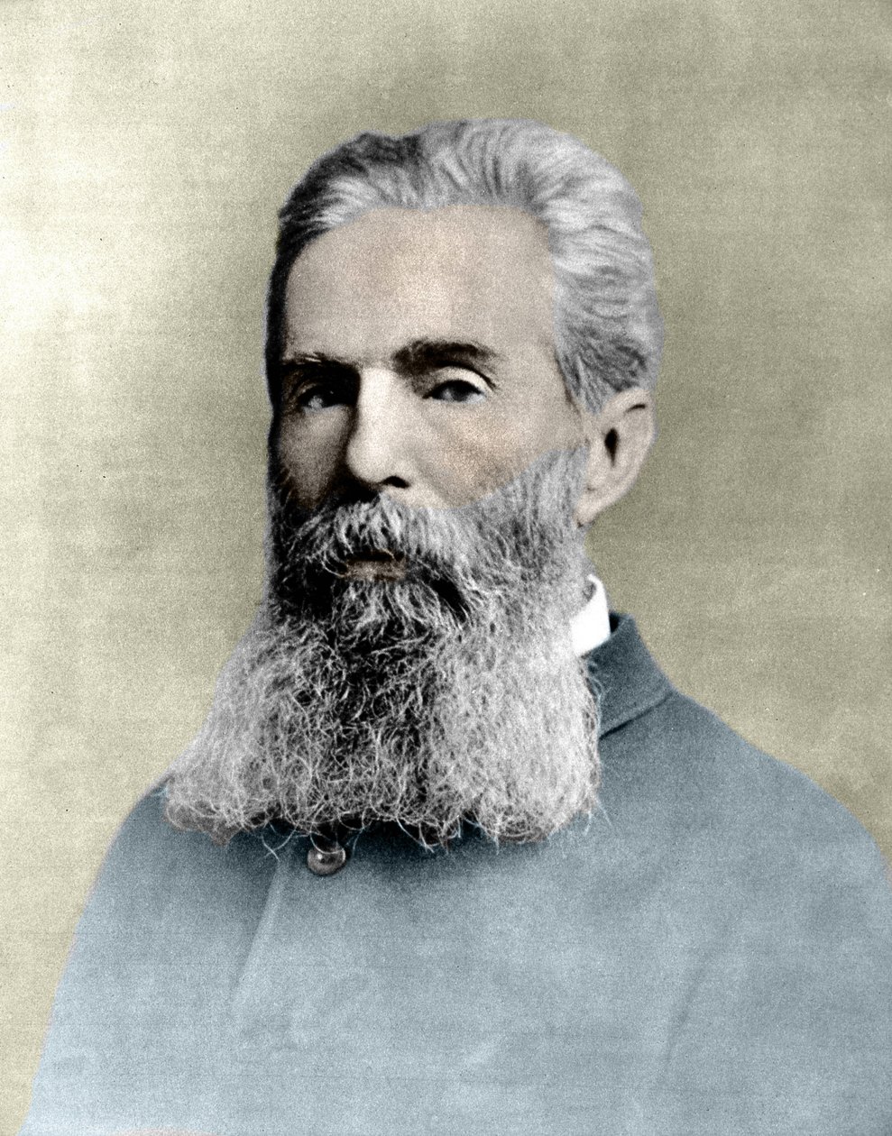 Porträtt av Herman Melville (1819 -1891) amerikansk författare. av Unknown artist