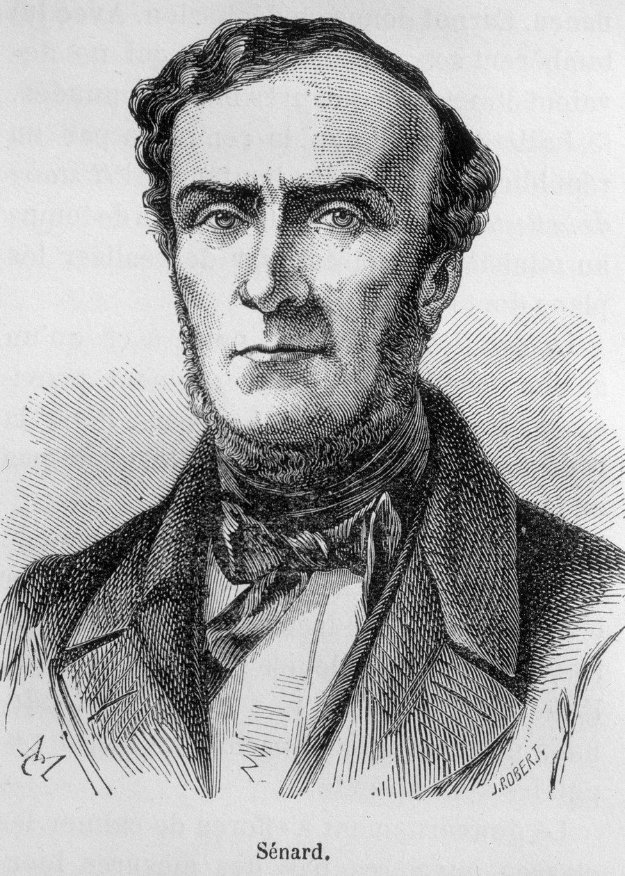 Porträtt av Marie Antoine Jules Senard, ledamot av advokatsamfundet i Paris, fd ordförande för nationalförsamlingen och tidigare inrikesminister. Han försvarade Gustave Flaubert under rättegången efter Madame Bovarys publicering. Gravyr av 1800-talet. av Unknown artist