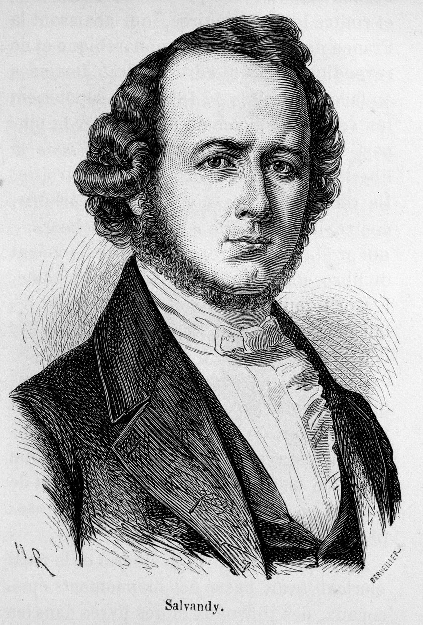 Porträtt av Narcissus Achilles, jarl av Salvandy, fransk politiker (1795 - 1856) av Unknown artist