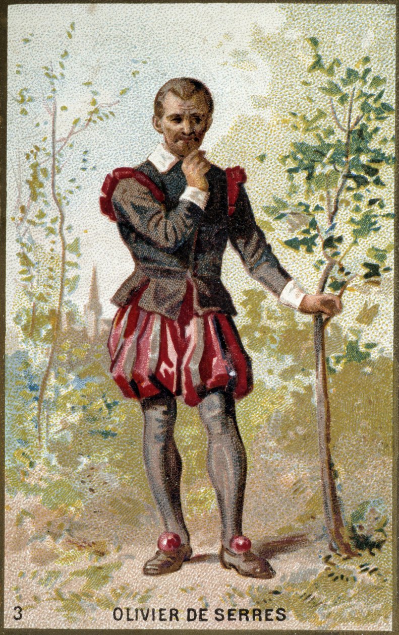 Porträtt av Olivier de Serres (1539 - 1619), fransk agronom. 1800-talets kromolitografi. av Unknown artist