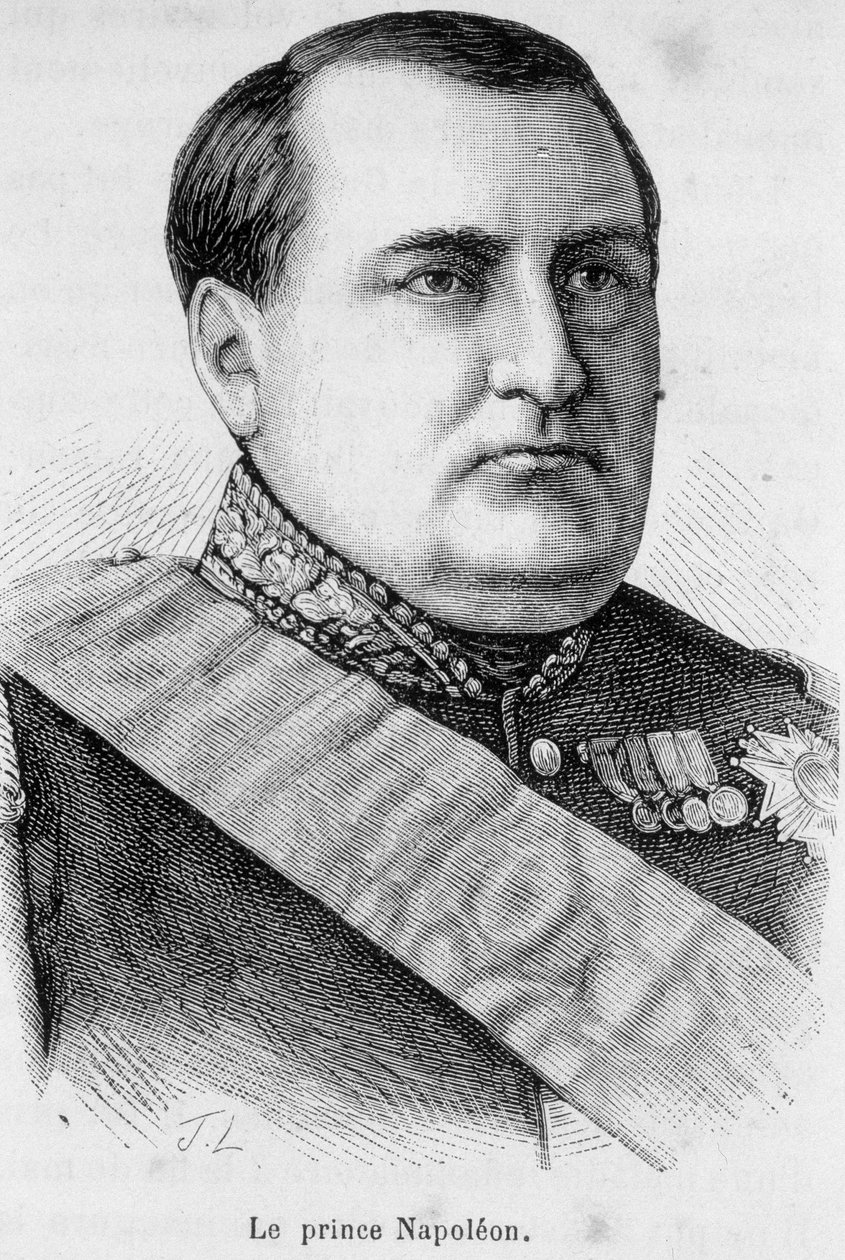 Porträtt av prins Napoleon av Unknown artist