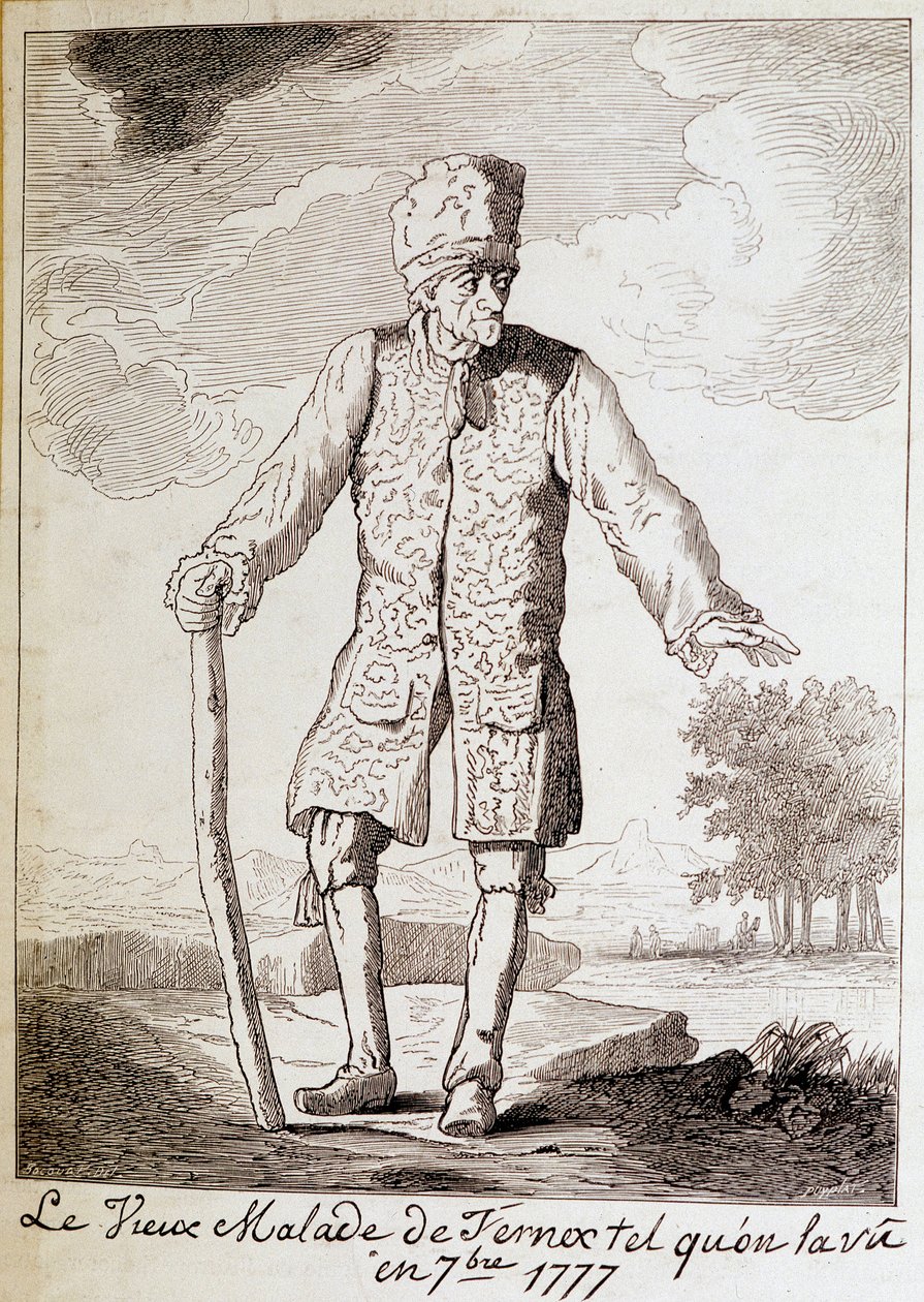 Porträtt av Voltaire (1694 - 1778), fransk författare och filosof, äldre. av Unknown artist