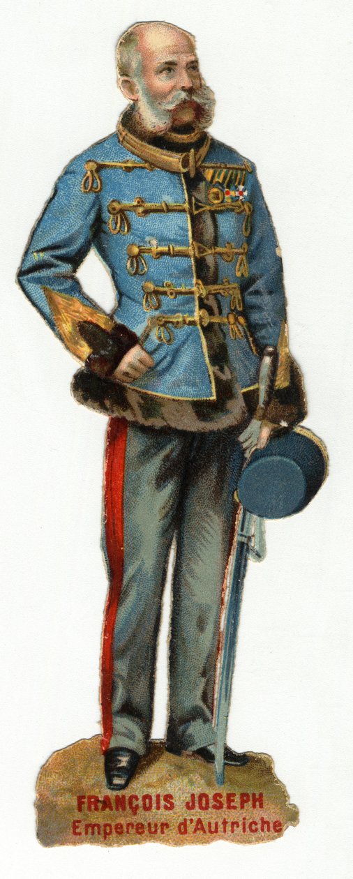 Porträtt av kejsaren av Österrike Francois Joseph I (1830-1916) Kromolitografi sent 1800-tal. Privat samling av Unknown artist