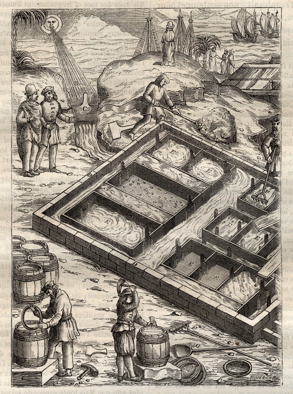 Att producera salt genom att förånga havsvatten i saltkärl. Från "" De re metallica"" av Georgius Agricola (Georg Bauer). (Basel 1556) - Saltproduktion: havsvatten som hälls i stora skålar avdunstar och lämnar saltdepån. Gravyr från "" De re metallica"" av av Unknown artist