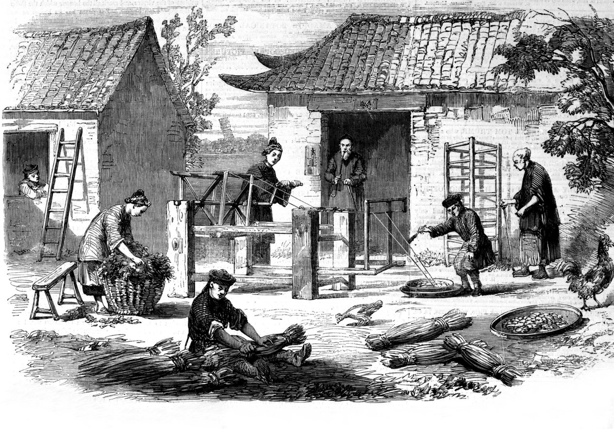 Produktion av siden i Kina och de olika stadierna av tillverkningen. av Unknown artist