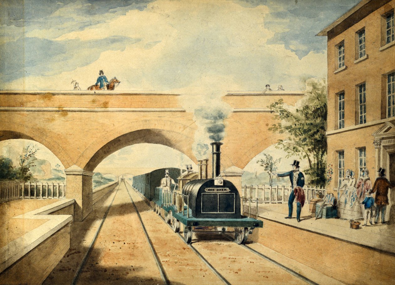 Kronhjort, ca 1850 (akvarell på papper) av Unknown artist