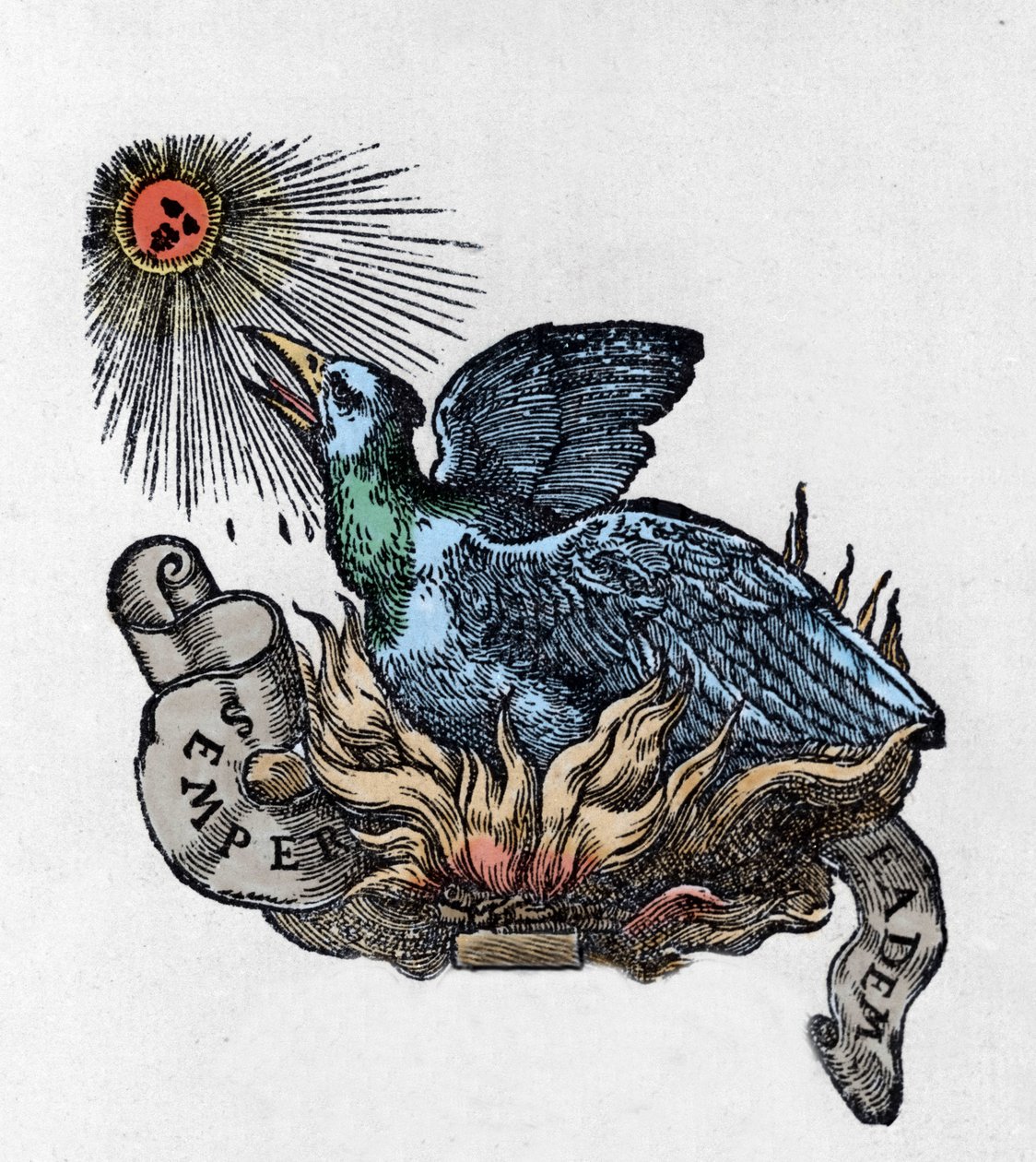 Representation av en Fenix (eller Fenix), legendarisk fågel, återfödd ur sin aska. Gravyr av 1800-talet av Unknown artist