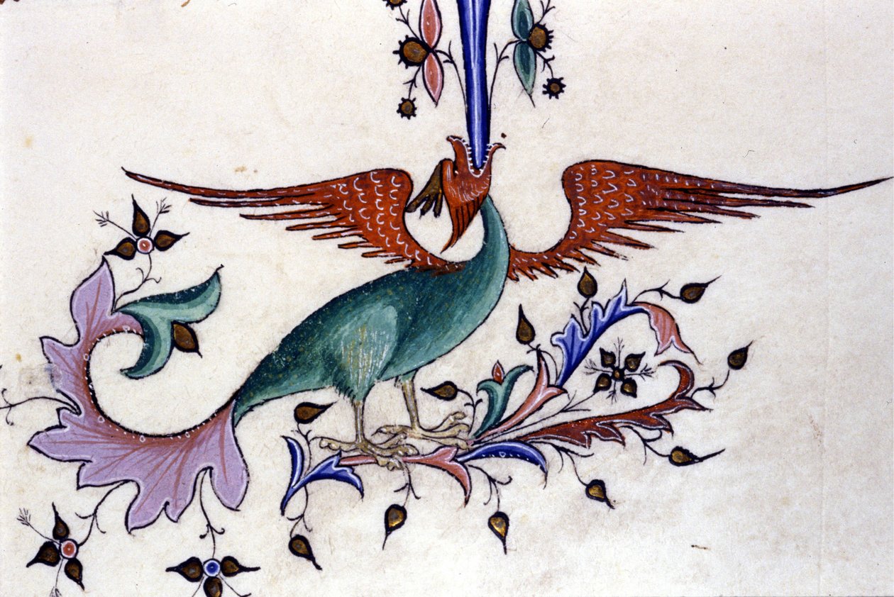 Representation av en drakevinge. Miniatyr av ett 1300-talsmanuskript. Milano, Biblioteca Nazionale Braidense. av Unknown artist