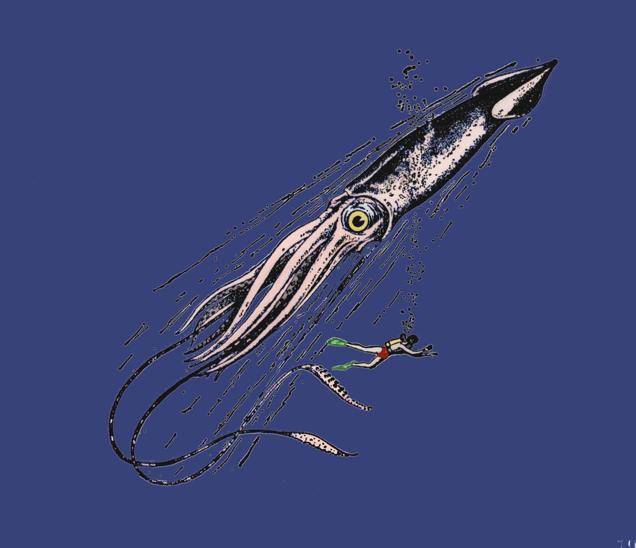 Representation av en jättebläckfisk (Architeuthis) på mänsklig skala. 1800-talet av Unknown artist