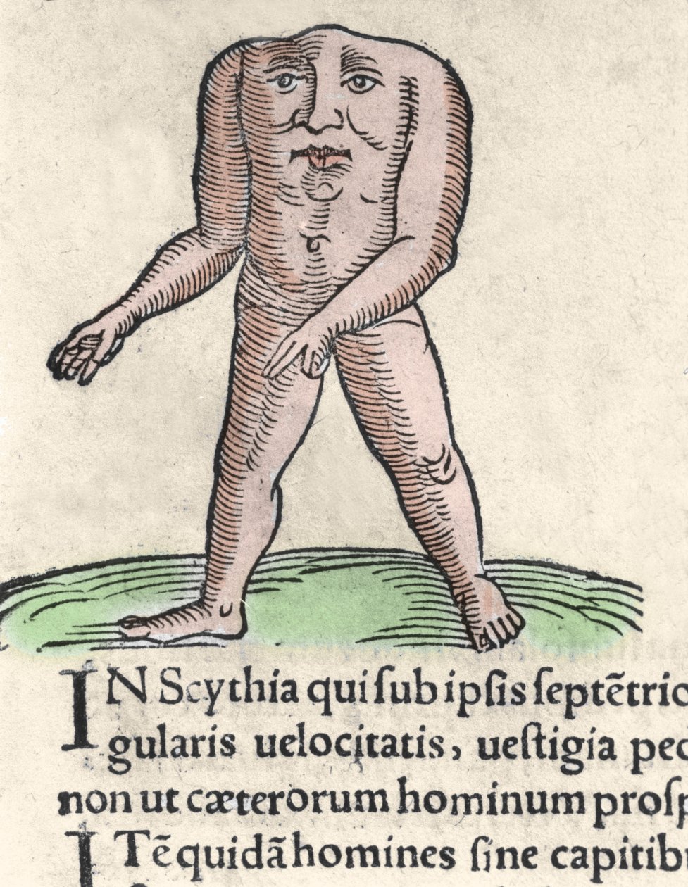 Representation av en medlem av Blemmyi-stammen i Nubien, beskriver utan huvud, utan hals och ansikte på Plinius bålen den tidigare Gravyr från "Prodigiorum ac ostentorum chronicon" av Conrad Lycosthenes (1518-1561). 1557. av Unknown artist