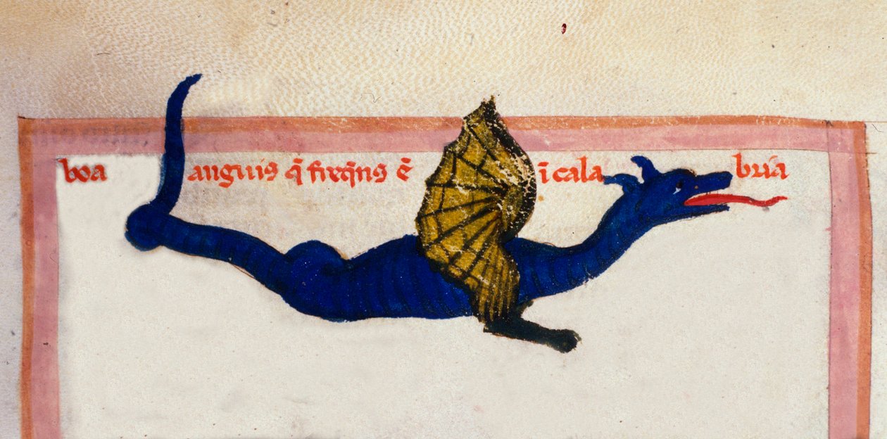 Representation av en vingdrake i miniatyr tagen från "" Cosmographia"" av Julius Solinus av Unknown artist