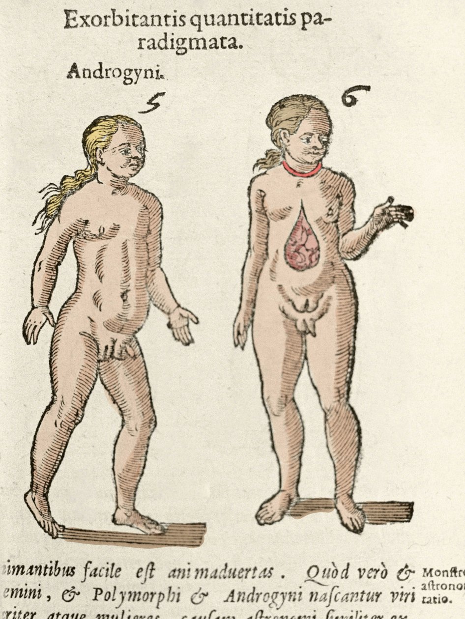 Representation av en androgyn och en hermafrodit. Tallrik tagen från De natura Divinis caracteris”” av Cornelio Gemma 1575 av Unknown artist