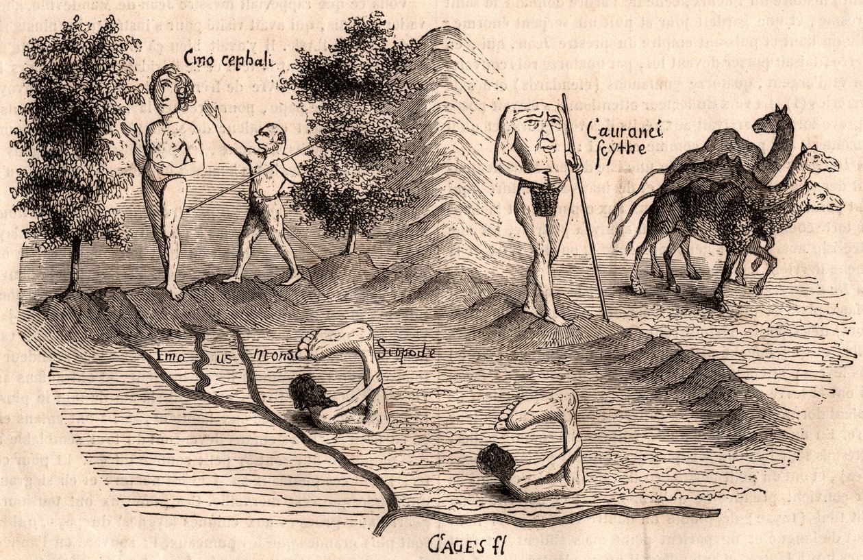 Representation av medeltida stammar och djurarter: Monocules, Blemmys, Sciopodes och kameler av Unknown artist