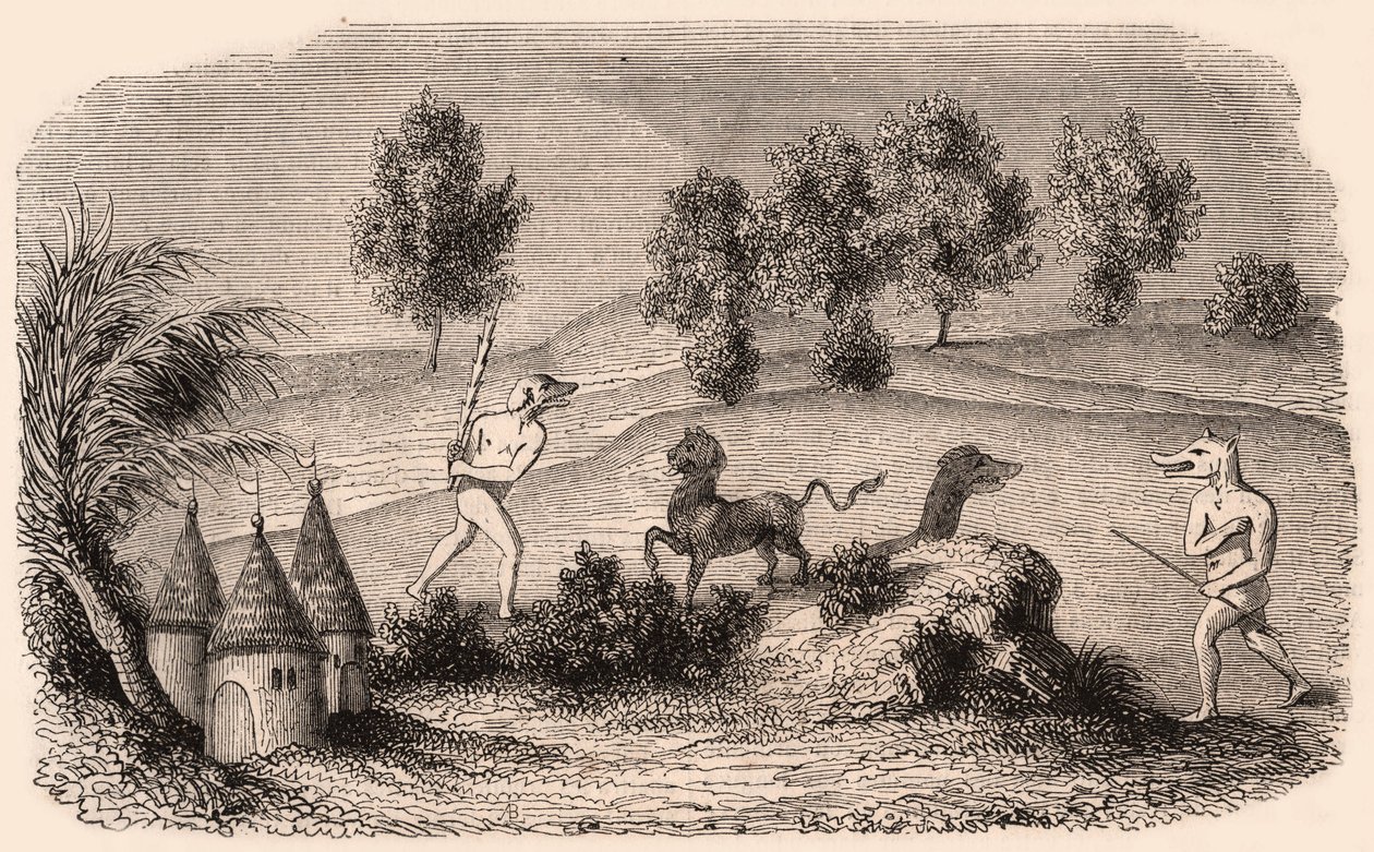 Representation av medeltida stammar och djurarter: två Cynocephalus kämpande monster av Unknown