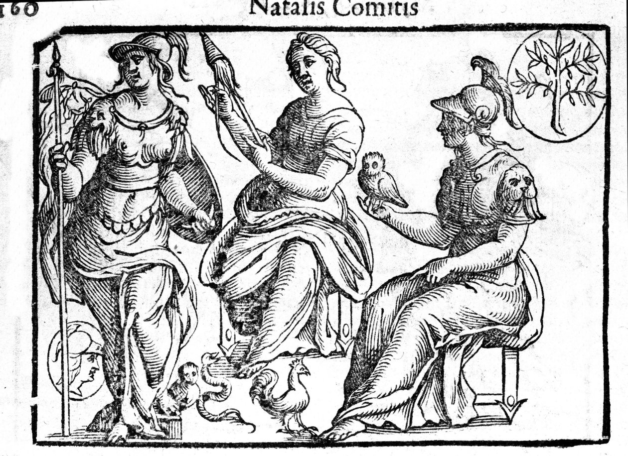 Representation av den gudomliga Athena. Gravyr från "Mythology and Fables" av greve Natalia 1637 av Unknown artist