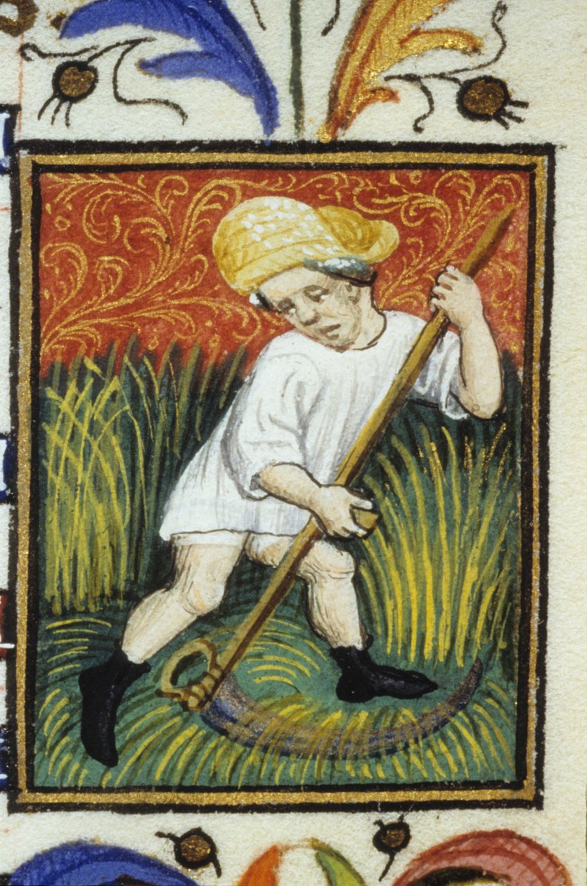Representation av juni månad. En bonde som slår grönt vete. Miniatyr av ett 1300-talsmanuskript. av Unknown artist