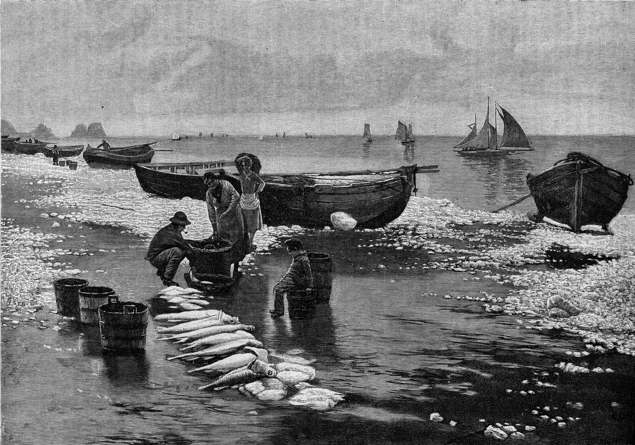 Återkomst av fiskarna under strejken vid Belle Isle (Belle-Isle) i Bretagne. Gravyr i "" Le Journal de la jeunesse"" av Unknown artist