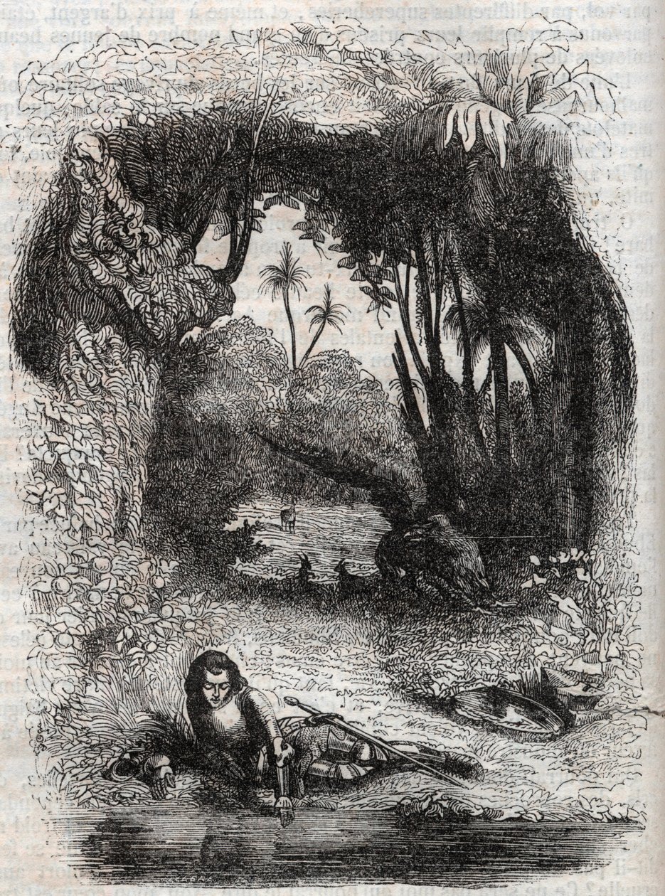 Ruggiero på ön Alcina, - 1851 gravyr från dikten Orlando furioso (1516) av Ludovico Ariosto, - Upplaga översatt från italienska av greven av Tressan och publicerad av Gustave Harvard 1851 av Unknown artist