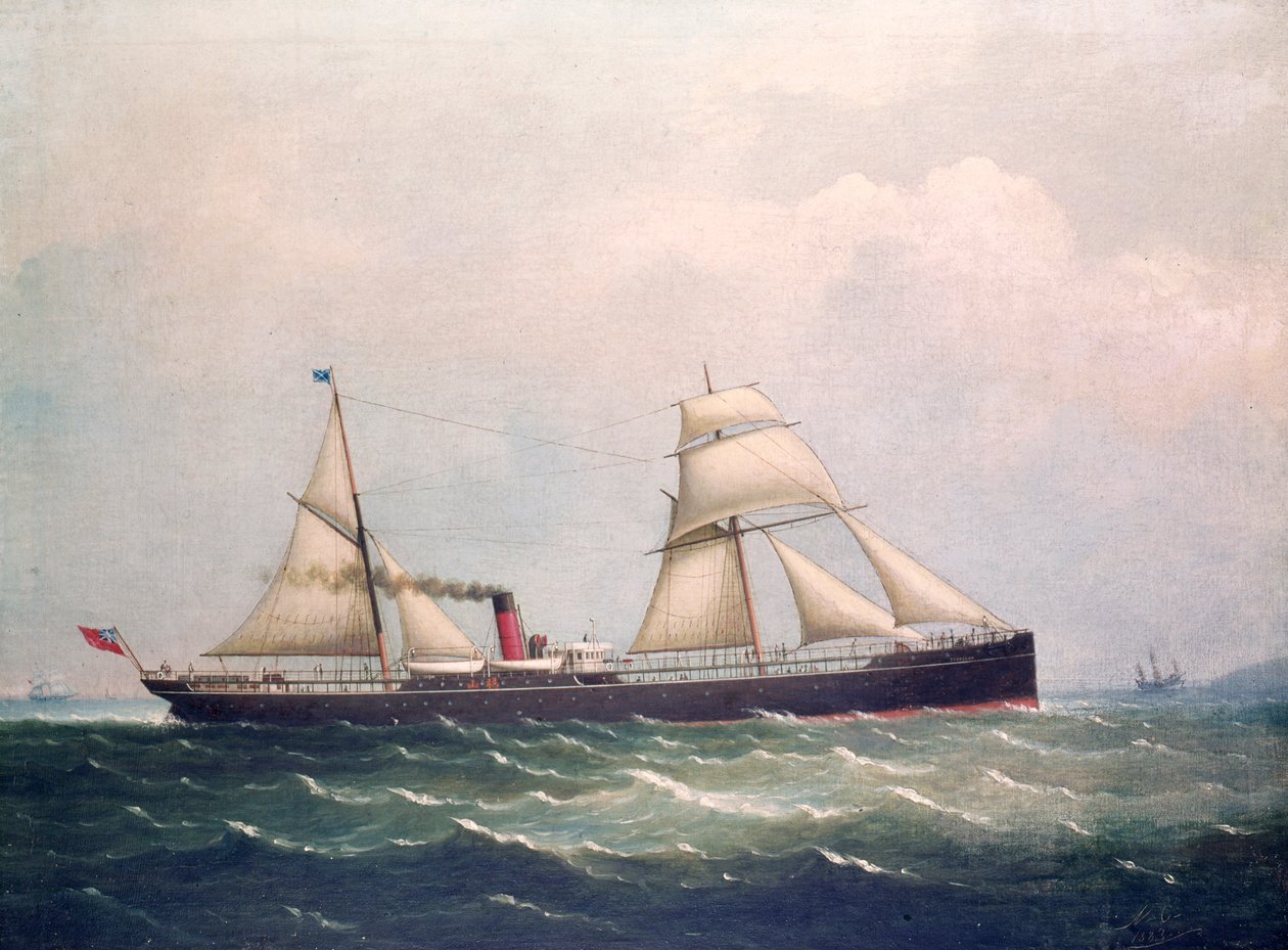 S.S Fooksang (olja på duk) av Unknown artist