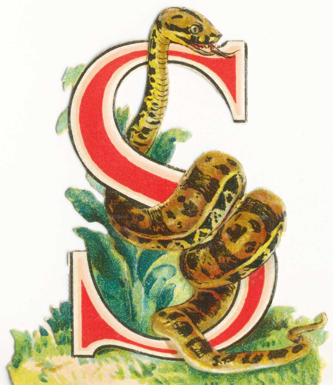 S: Orm av Unknown artist