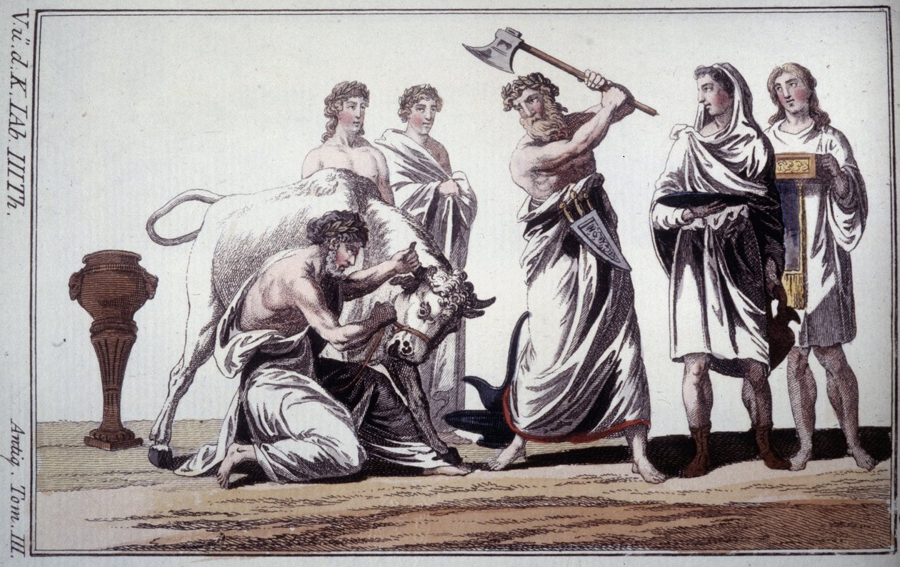Offer av en tjur. Sed i romersk antiken. Gravyr från början av 1800-talet. av Unknown artist