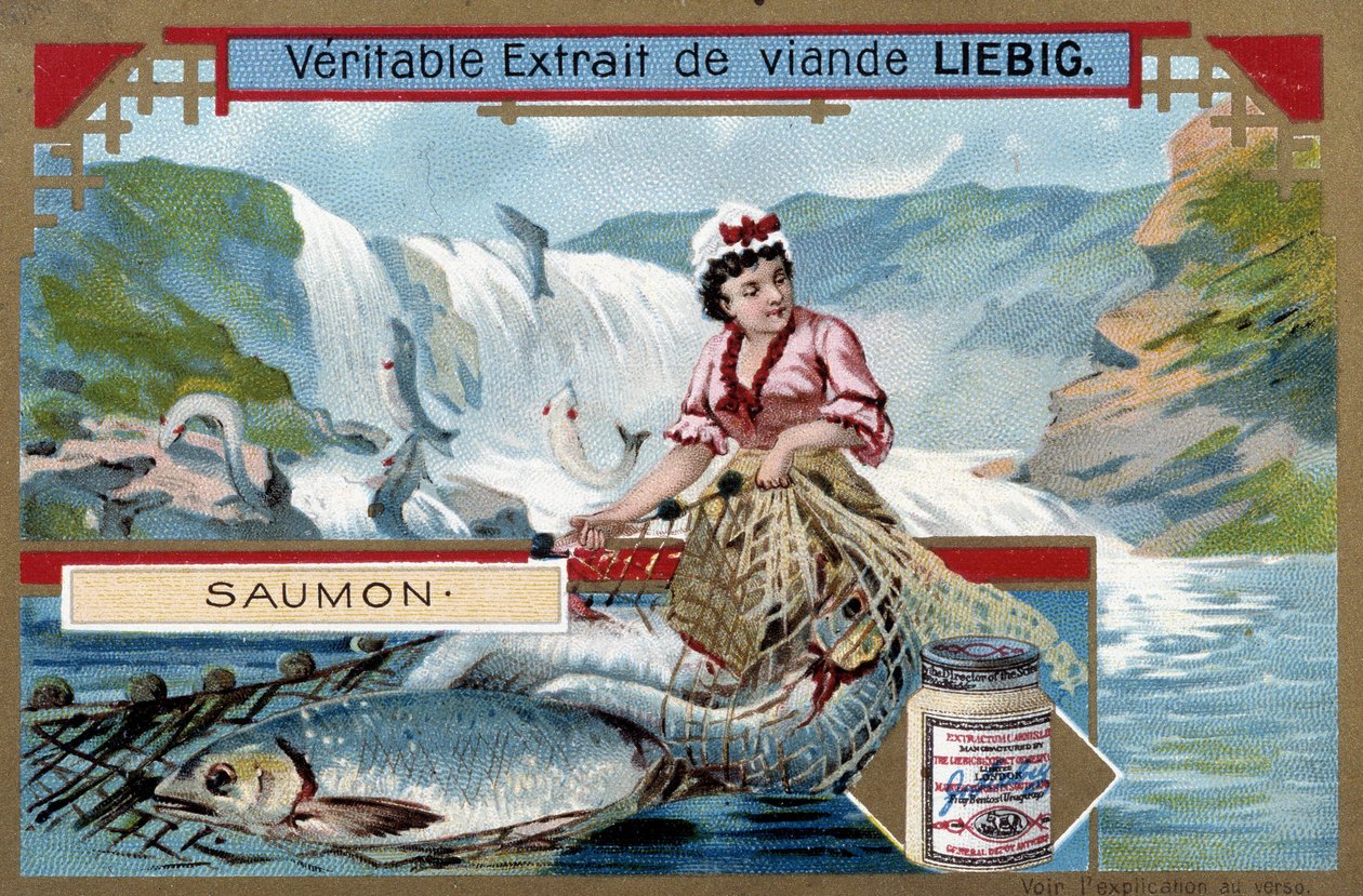 Laxfiske - 1800-talets chromo. av Unknown artist