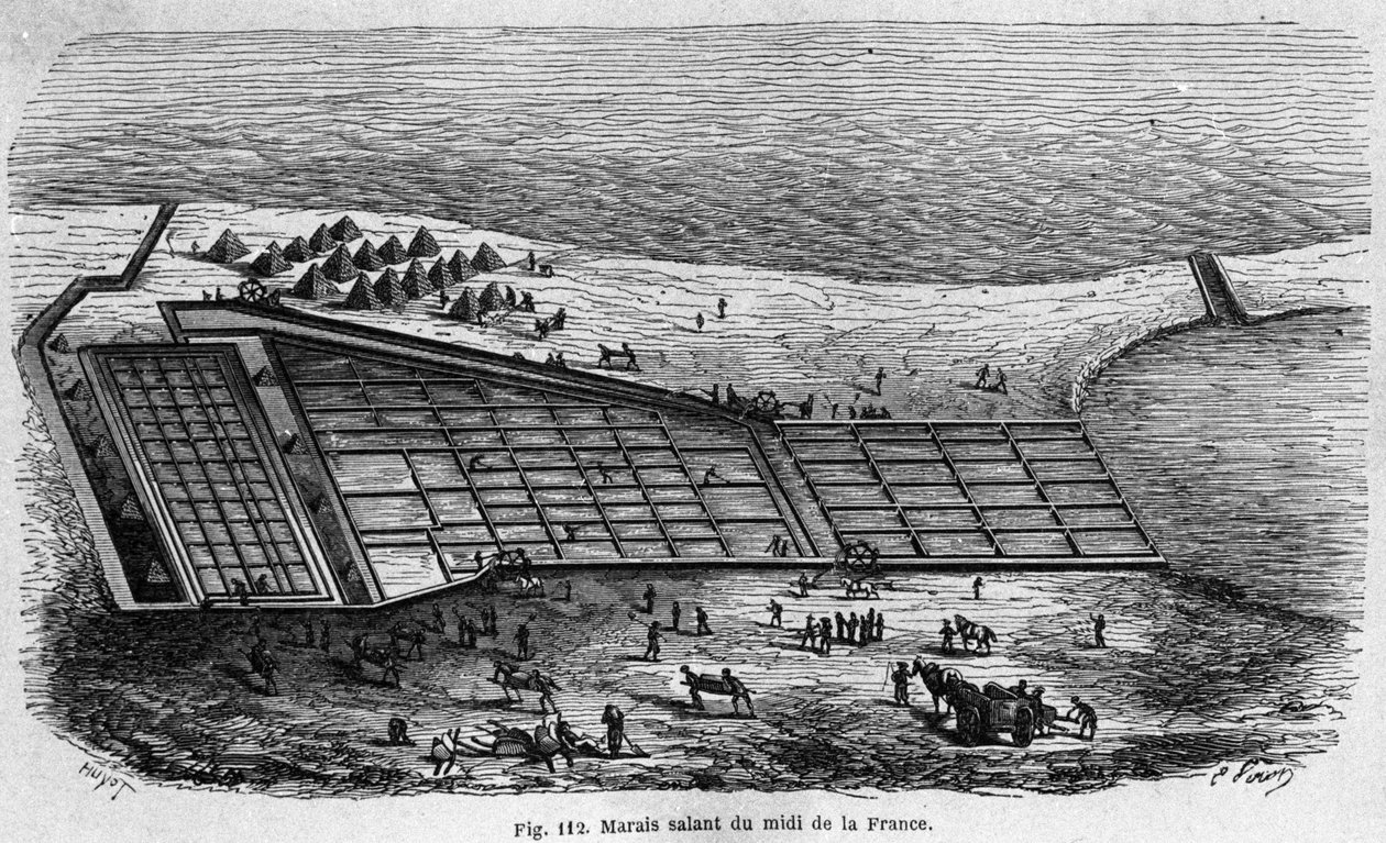 Saltproduktion: utsikt över ett saltkärr i södra Frankrike, gravyr från 1880 av Unknown artist