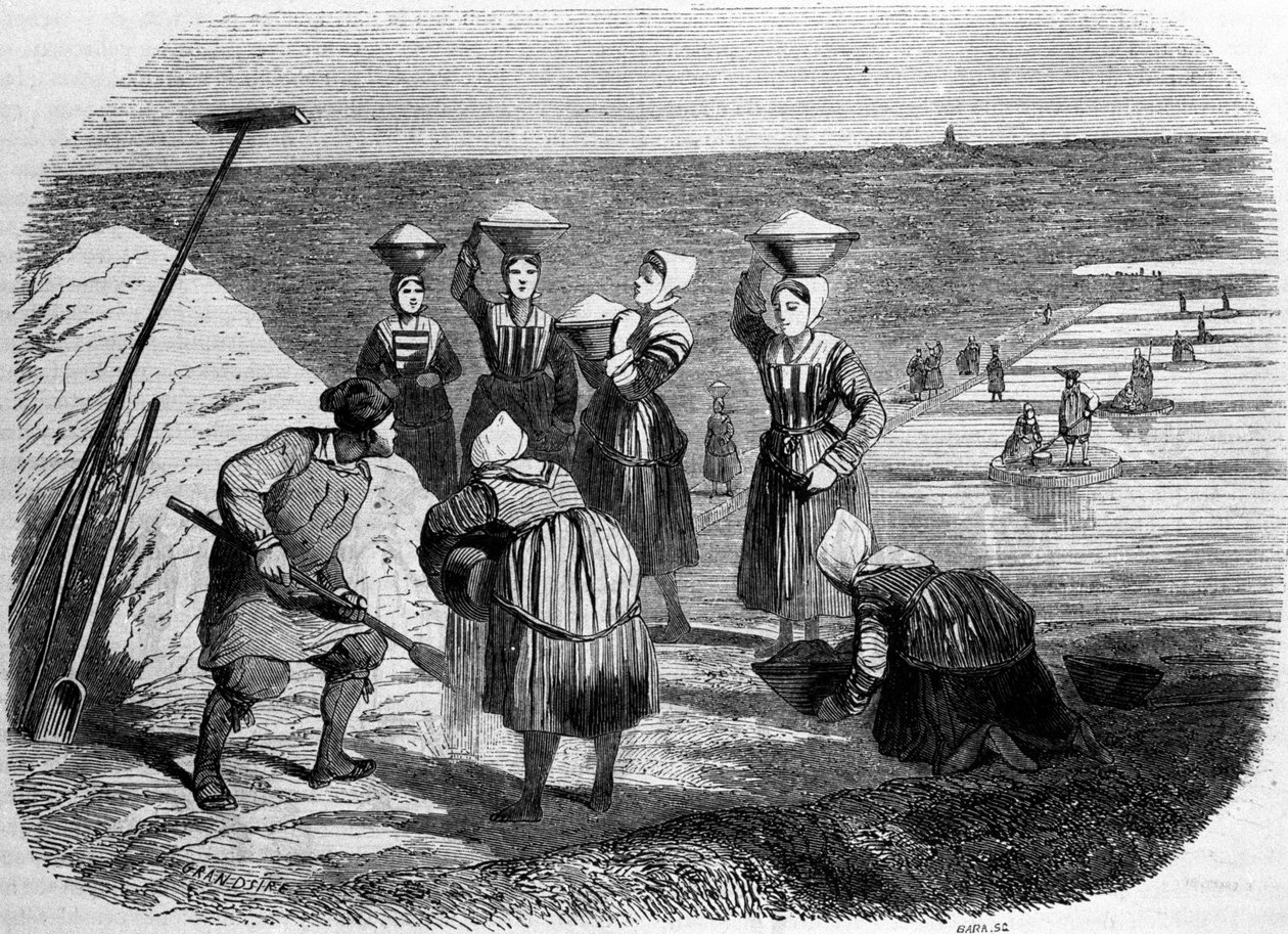 Saltproduktion: kvinnor som arbetar i saltmarker. 1800-talsgravyr av Unknown artist