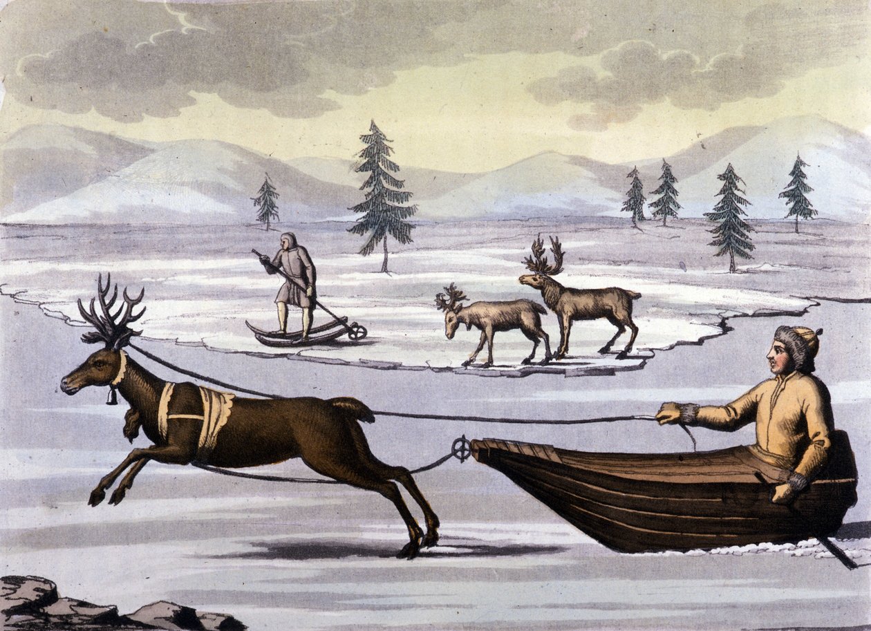 Samer: Ursprungsbefolkningen som bor i de nordliga ländernas länder (Norge, Finland, Sverige och Ryssland) rör sig med renkälke eller skidor. Gravyr av 1800-talet av Unknown artist