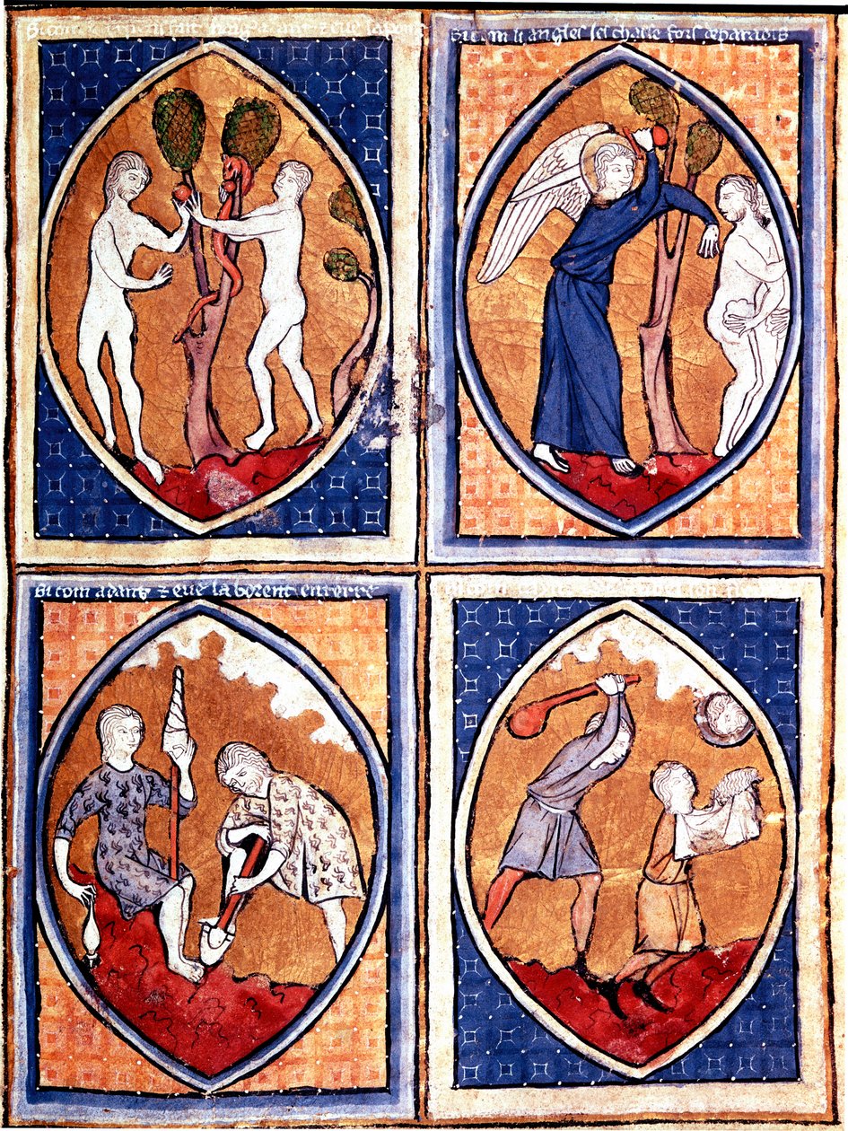 Scener från Bibeln avbildade i mandorles. Upp Adam och Eva plockar den förbjudna frukten och jagar sedan från himlen. Där nere arbetar Adam jorden och Eva ger ullen, Kain och Abel. Miniatyr från ett 1200-talsmanuskript. Porto, kommunala biblioteket av Unknown artist
