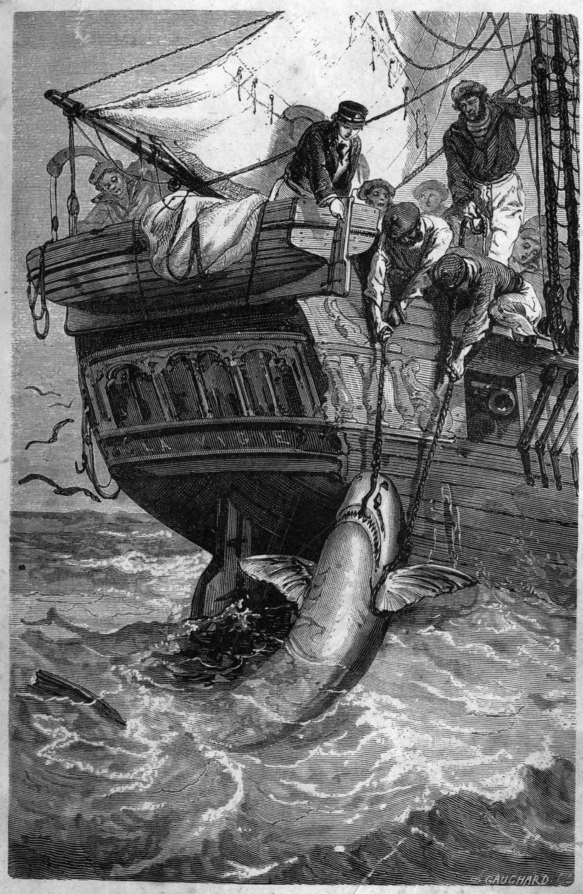 Hajfiske. (Pesca allo squalo) 1800-talsgravyr. Privat samling. av Unknown artist