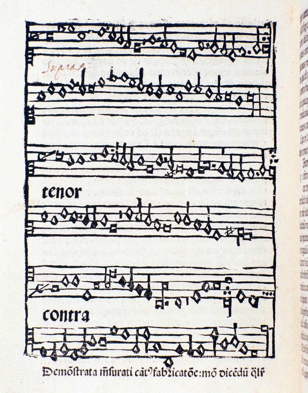 Notsida för musikologiska studier och dokument av Nicola Burzio av Unknown artist