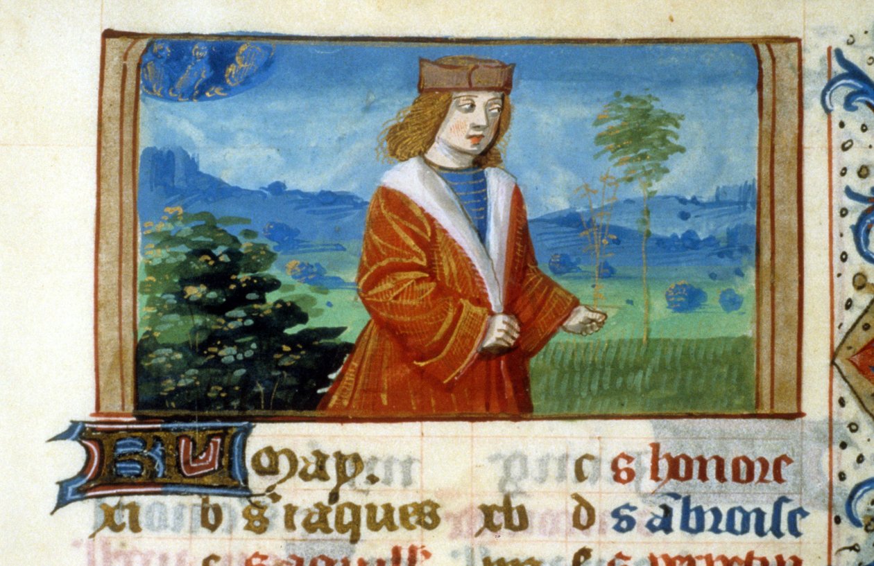 Tecken på Tvillingarna och människan på fälten - miniatyr, medeltid: Begär tillstånd från Toulouses kommunala bibliotek (tel: 05 62 27 66 66) av Unknown artist