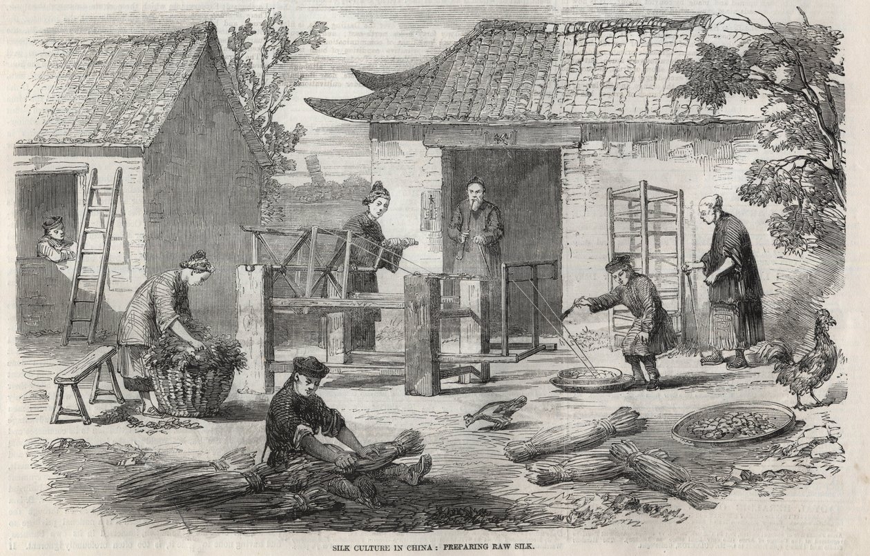 Silkeproduktion i Kina och de olika stadierna av tillverkningen. av Unknown artist