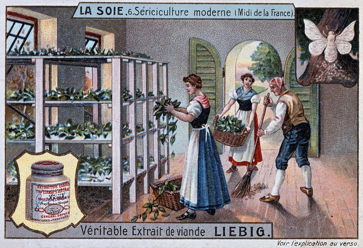 Siden: sidenverkstad i södra Frankrike, Liebig publicitet, v. 1895 av Unknown artist