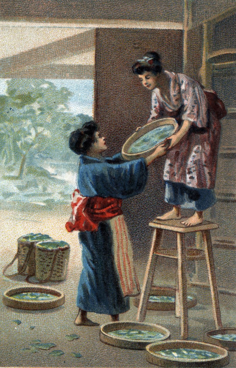 Silkesmaskuppfödning i en japansk magnet. Kromolitografi i slutet av 1800-talet. av Unknown artist