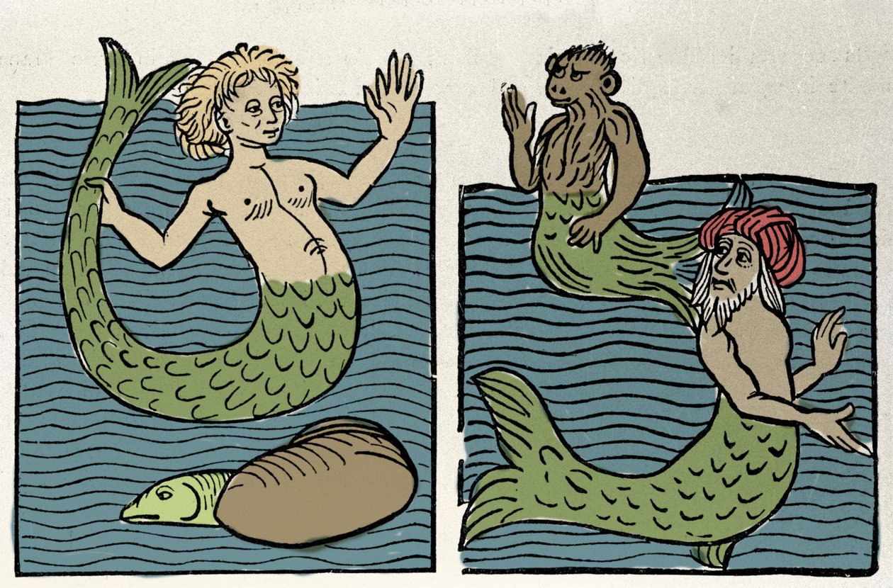 Sirene eller Virgin of the Sea, Monkey och Sea Turk. Gravyr från "Hortus sanitatis"" av Unknown artist