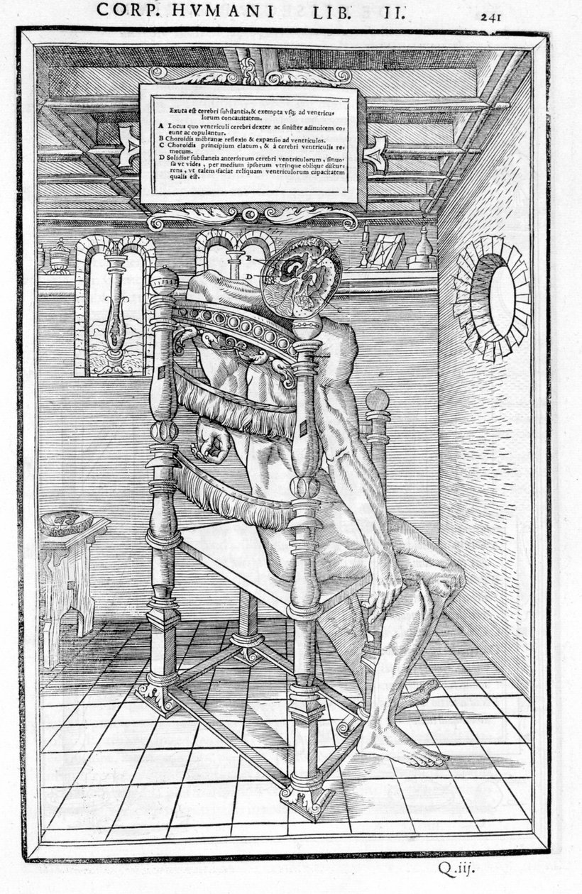 Skalle skuren. Anatomisk styrelse för "Dissektionen av de tre delarna av människokroppen..." Carlo Stefano Riverio, Paris 1545 av Unknown artist