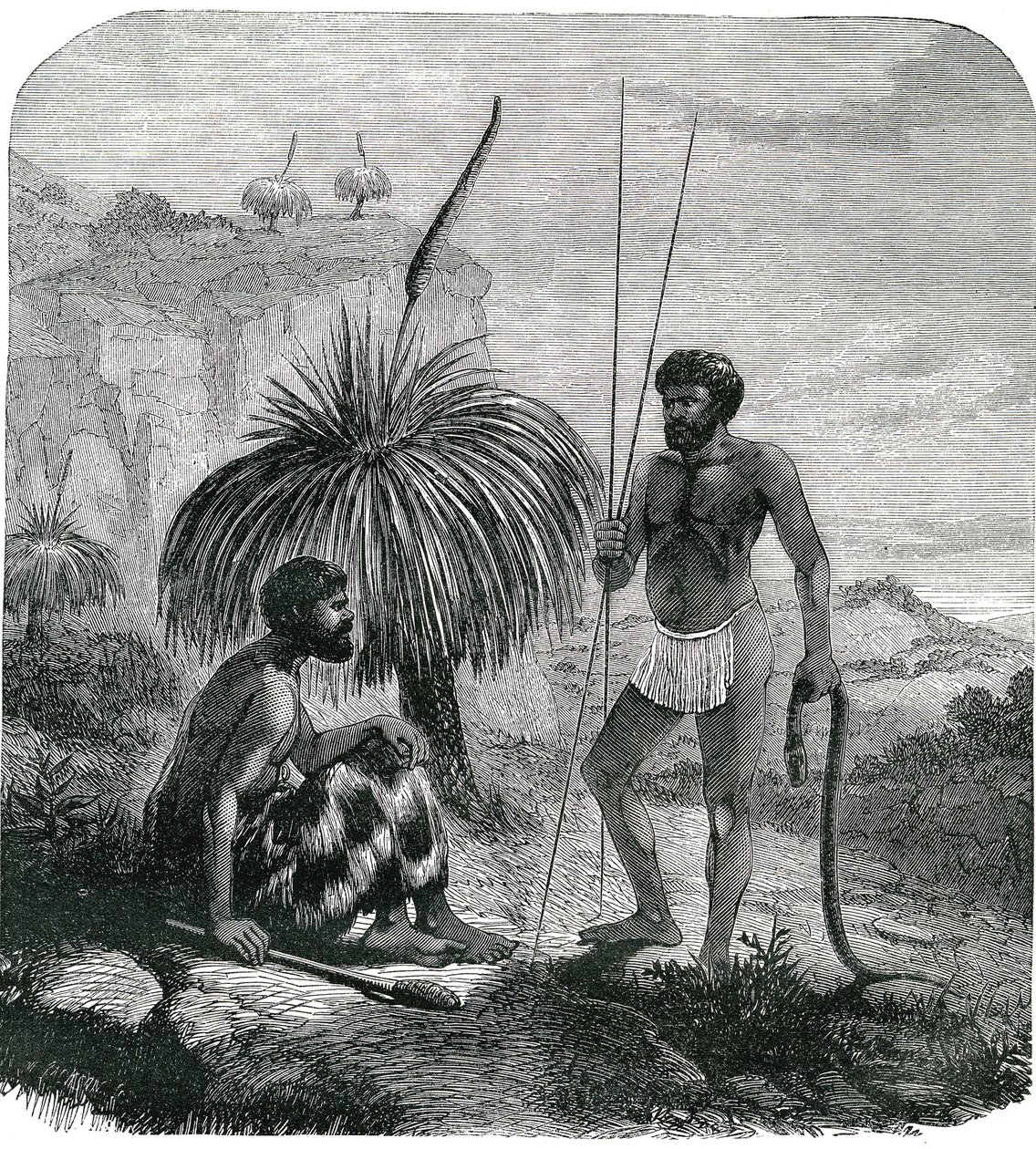 Ormjägare i Australien. Gravyr 1868 av Unknown artist