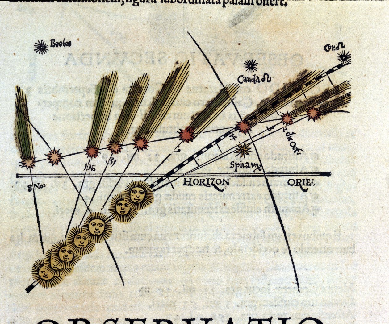 Studie om kometer - i Astronomicon caesarum, avhandling från 1500-talet. av Unknown artist
