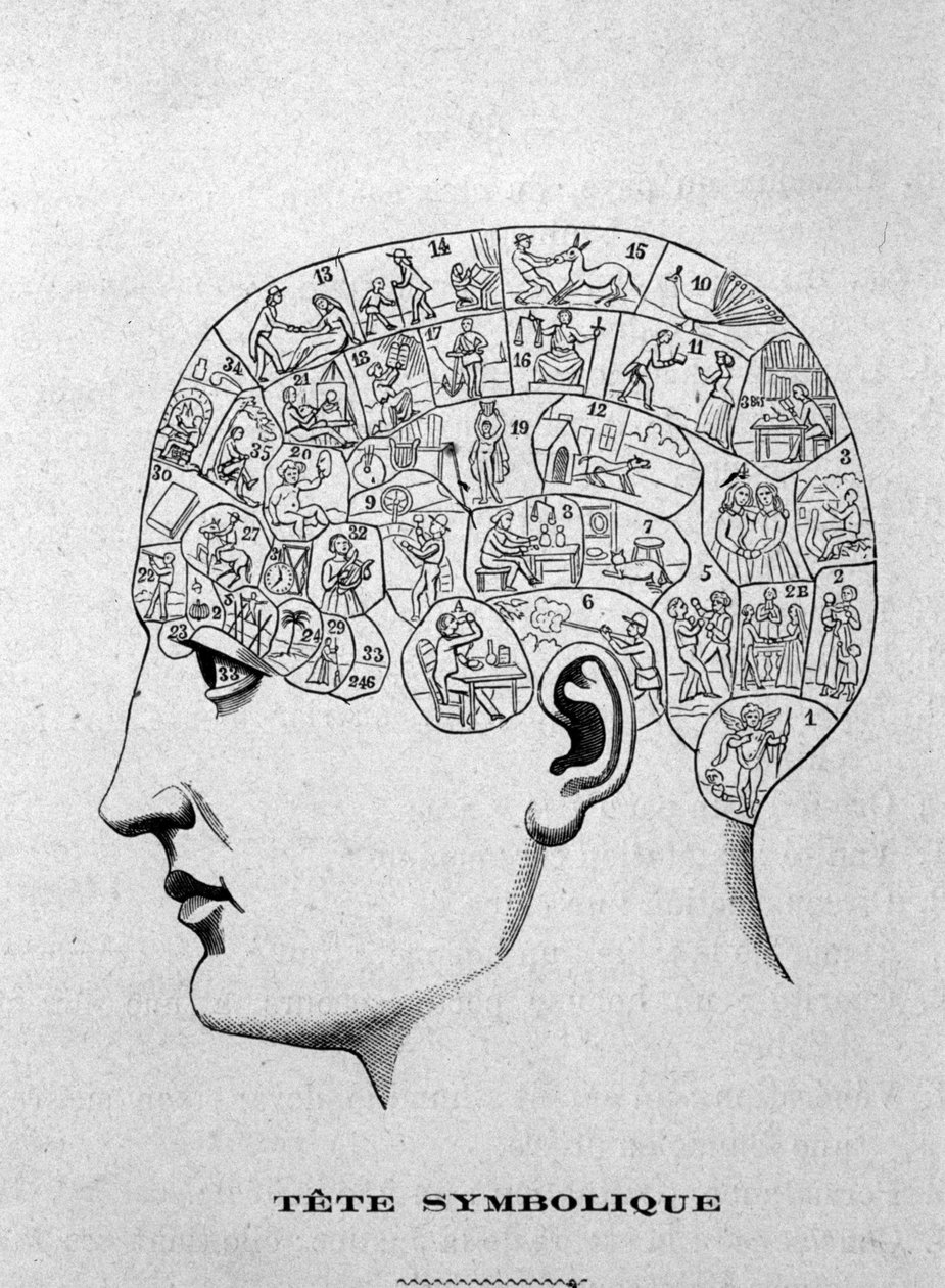 Symboliskt huvud. illustration från Charles Rouvins bok från 1873 La Tête humaine, illustrerade studier av frenologi och fysionomi tillämpade på kända karaktärer Paris 1873 av Unknown artist